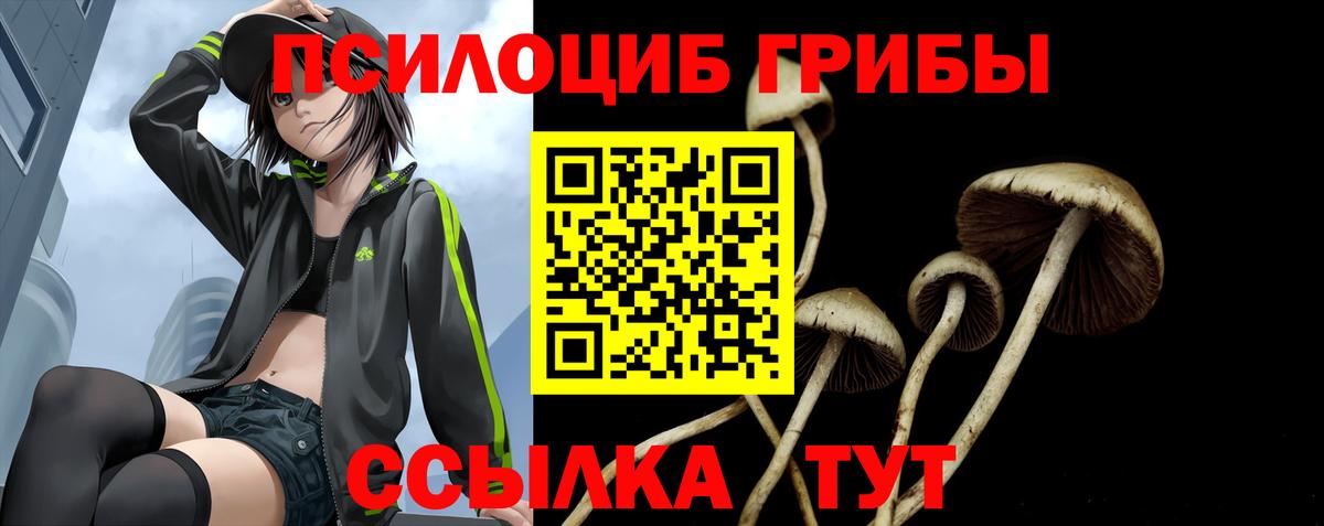 цена   Псилоцибиновые грибы мухоморы  Барнаул  Вход с VPN  Псилоцибиновые грибы Magic Shrooms 